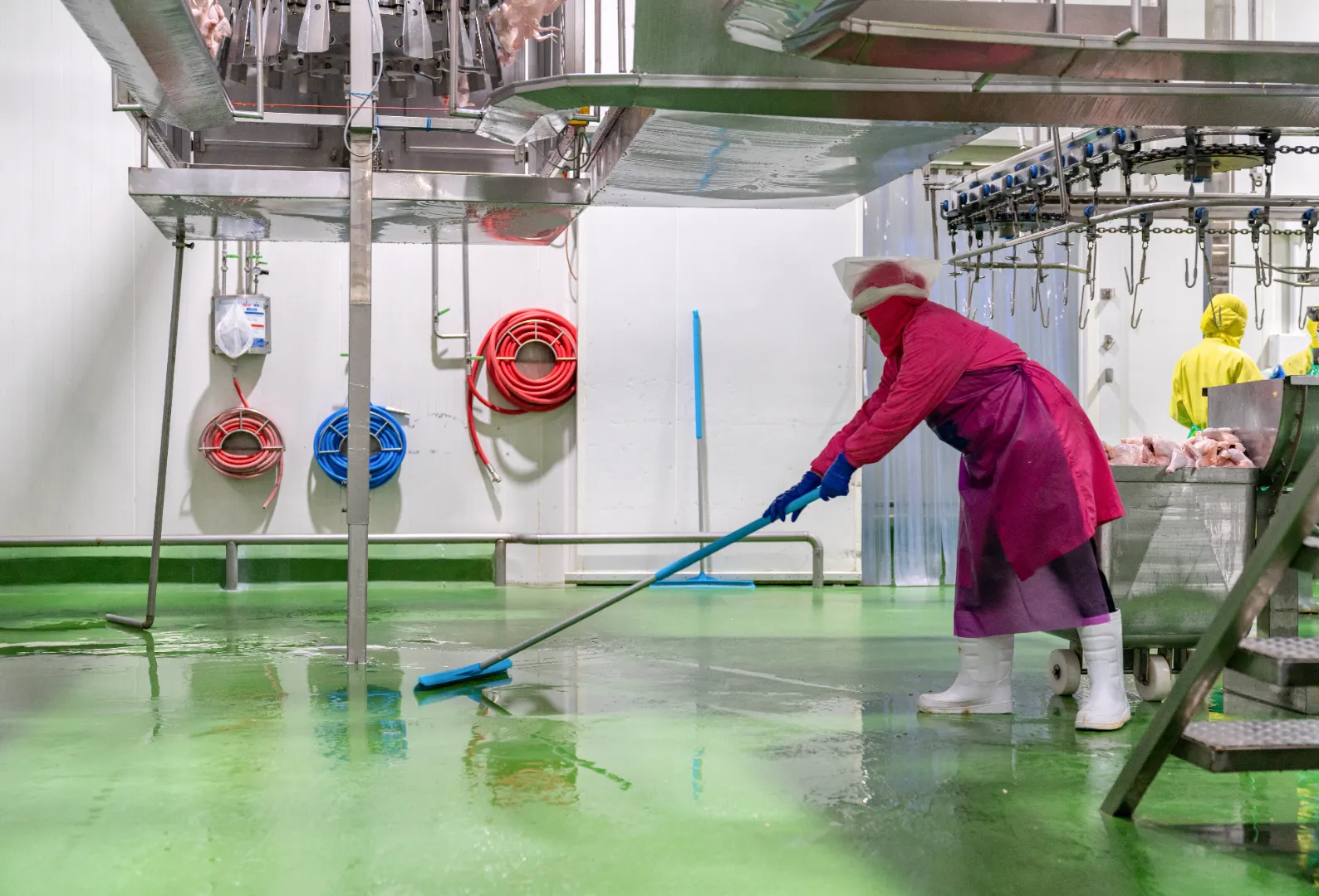 Poultry and meat processing